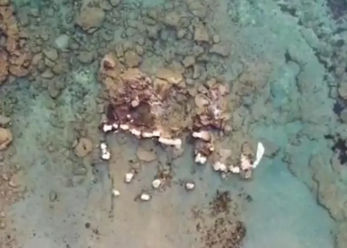 Tsambikos Apts * Faliraki