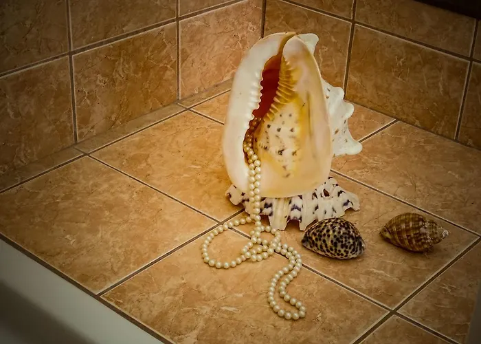 Tsambikos Apts شقة