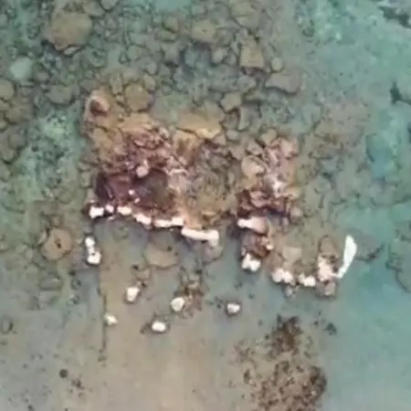 Tsambikos Apts * Faliraki