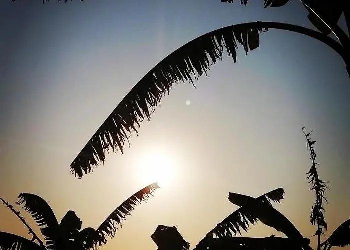 Tsambikos Apts Appartamento *