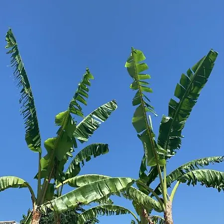 Tsambikos Apts דירה