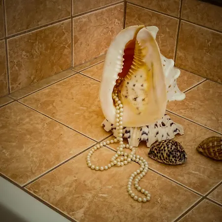 Tsambikos Apts דירה